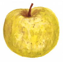 Image for