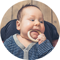 Image for Chewing motions