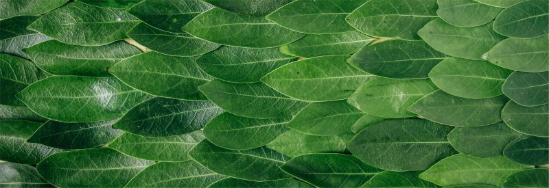 Full width banner image
