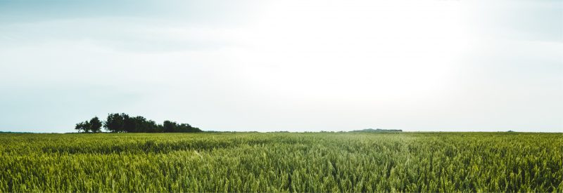 Full width banner image