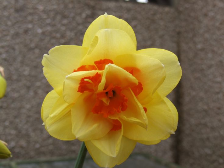 Spring time