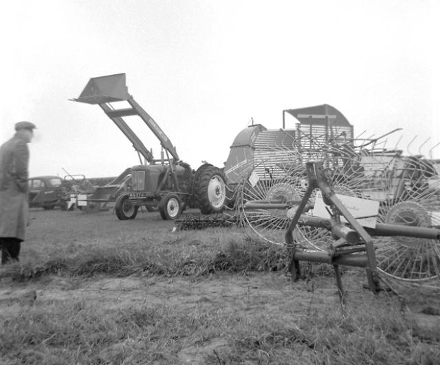 County Show
