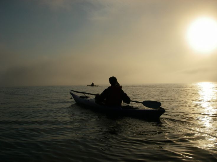 Deersound in the mist