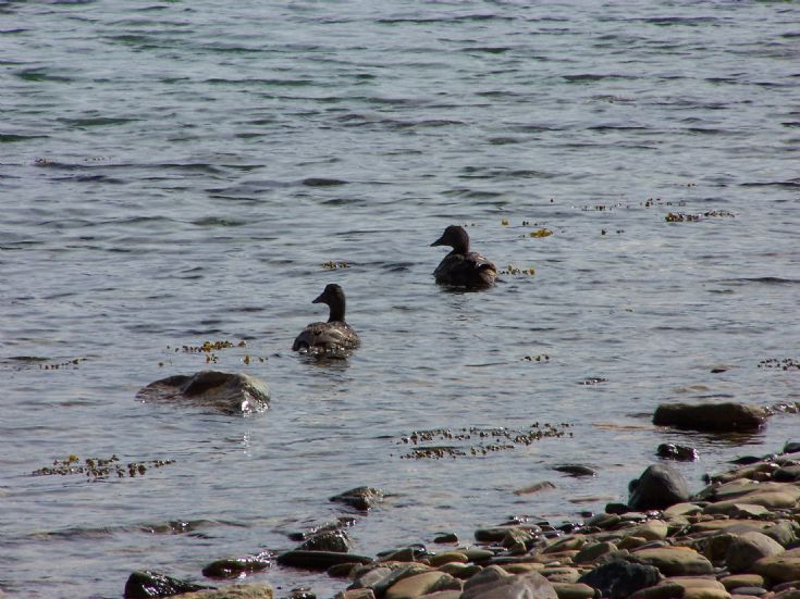 Out for a paddle