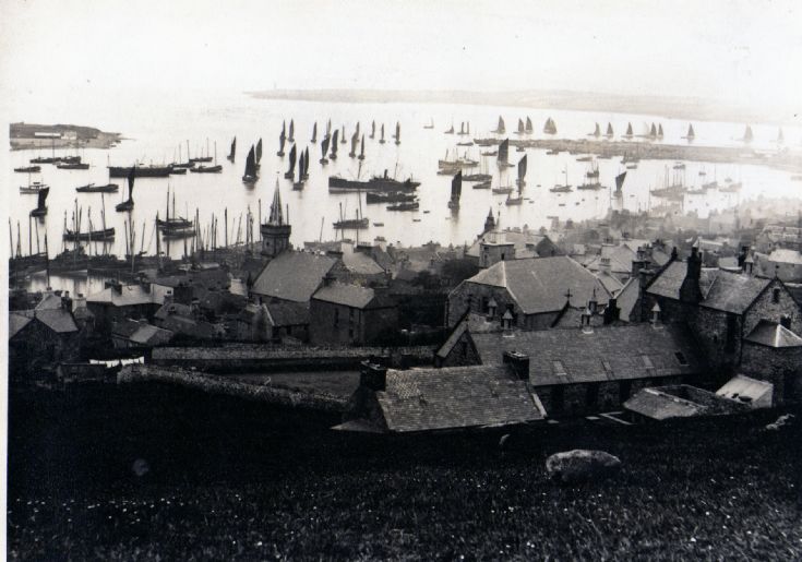 Herring Fleet - Stromness Harbour
