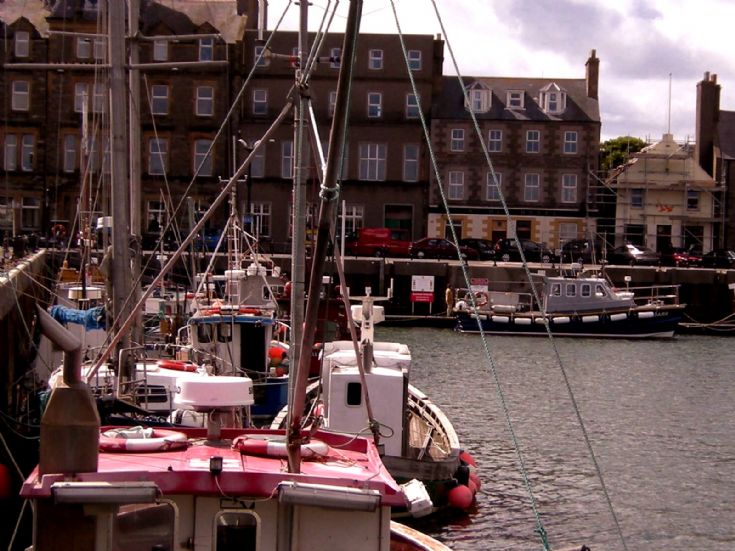 low tide in the basin
