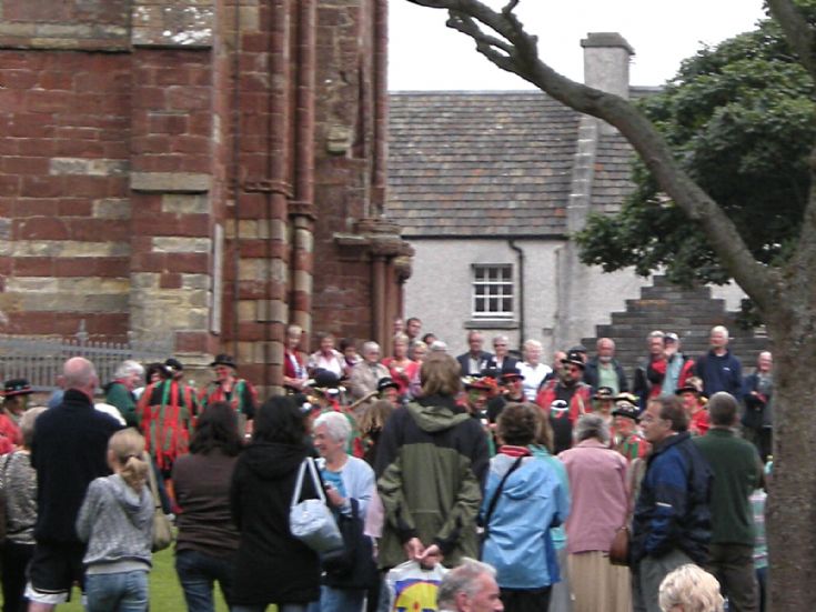 Flock of exotic migrants draws sightseers