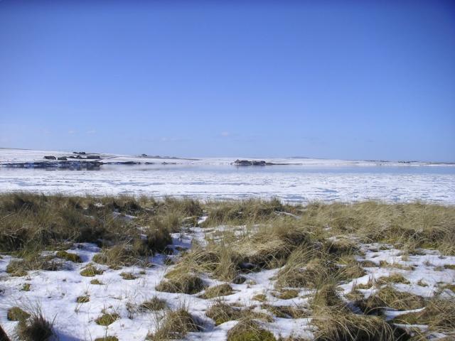 Ice floes at St Peter's Pool