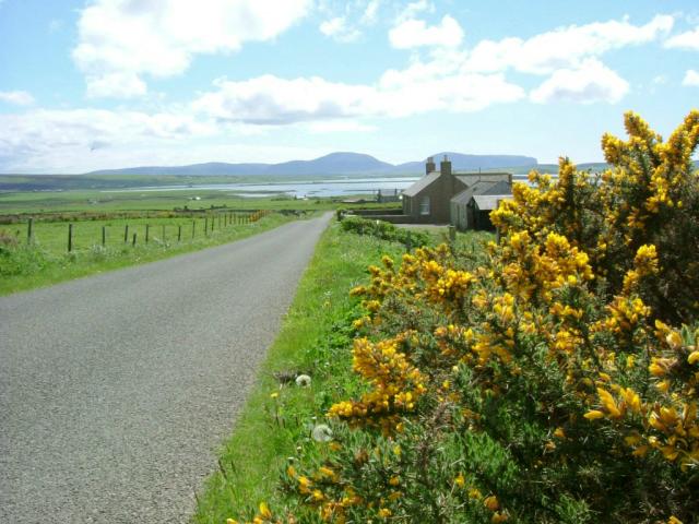 View from Stoneyhill Road