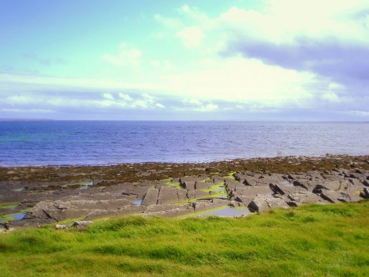 Looking out from Maltbarn