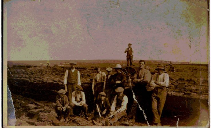 Peat cutting