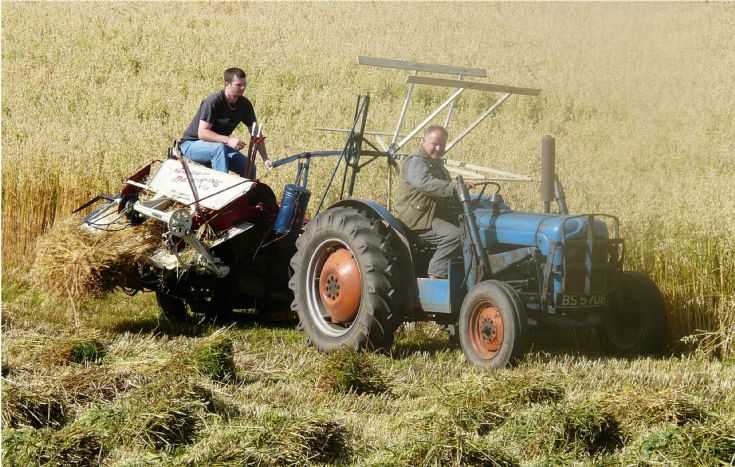 Harvest 2008