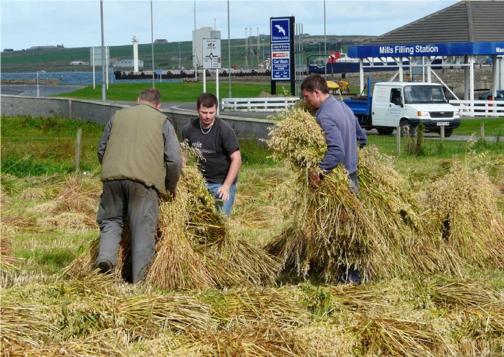 Harvest 2008