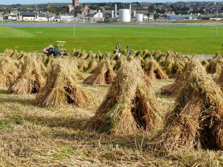 Harvest 2008