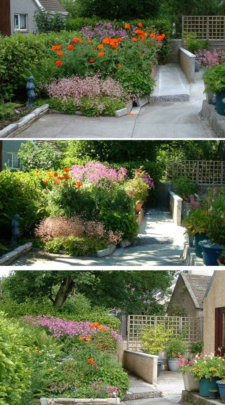 The bog garden
