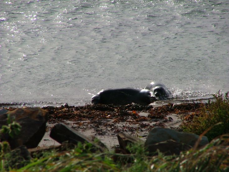 Maltbarn beach