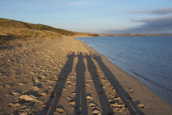 Long Shadows