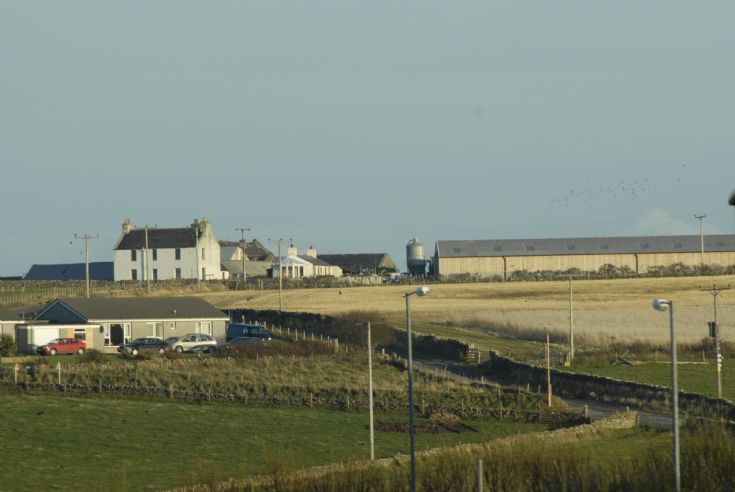 Seatter Farm basking in sunshine