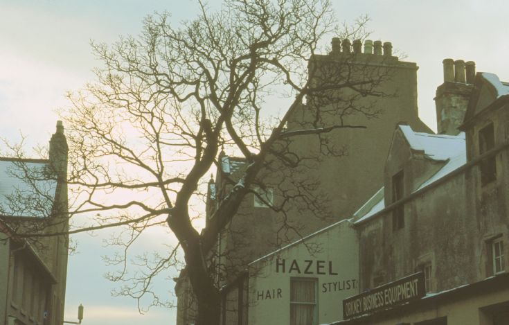 Kirkwall Hazel Hair Stylist