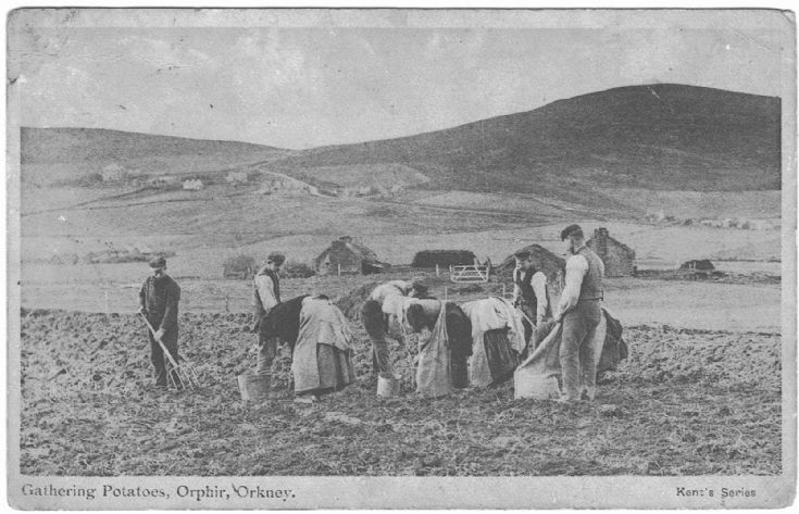 Old postcard