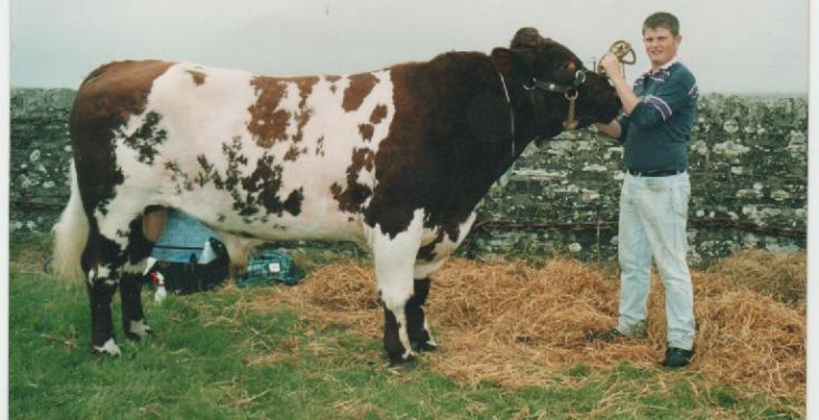 A Bull wae used tae have