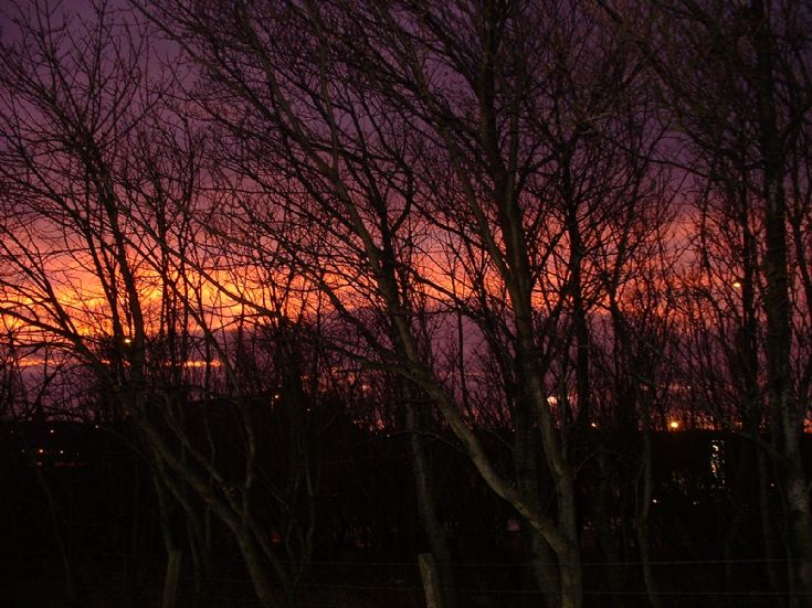 Morning 23rd Dec