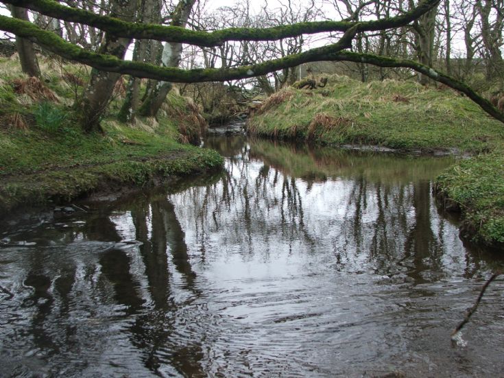 Binscarth