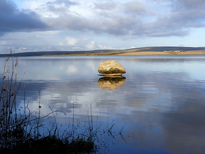 Stone
