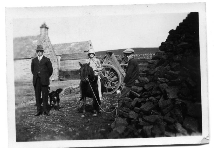 Peat stacks at Melsetter