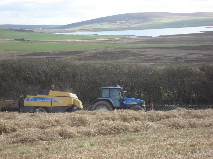 Harvest time at Ingsay