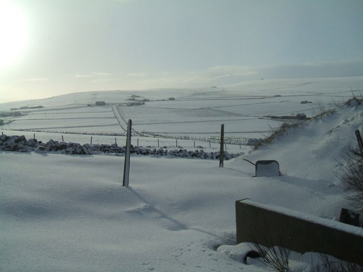 Snowy morning