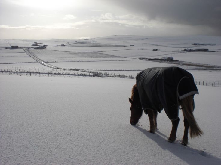 Winter snow