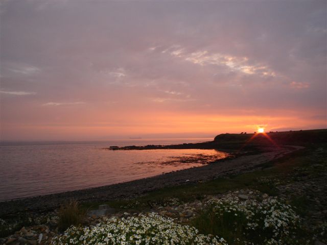 Bay of Sandoyne, Holm