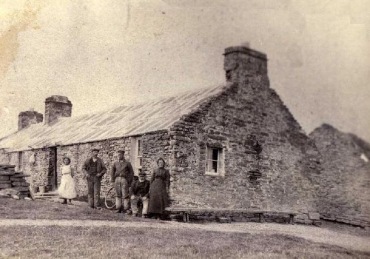 Laughtons of Vigga, Holm