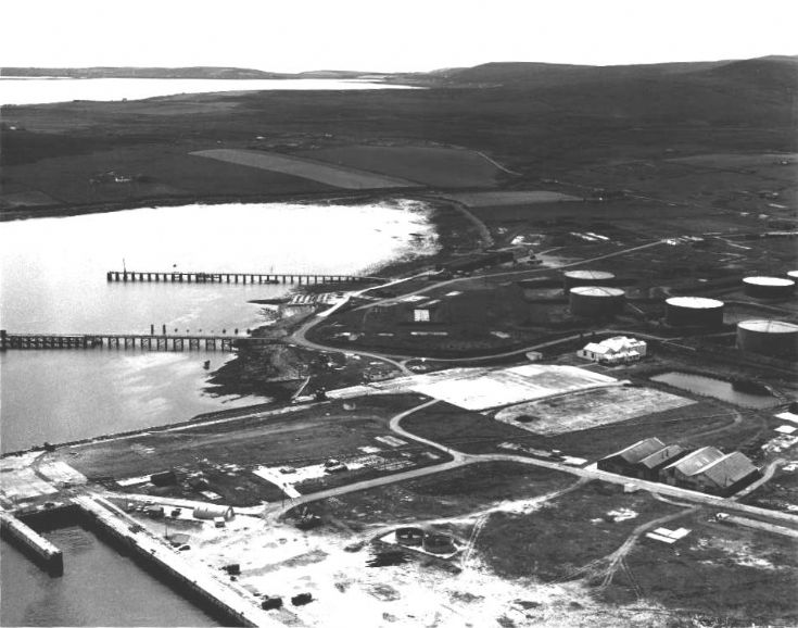 Lyness