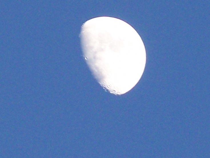 The moon