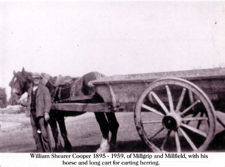 Carter in herring fishing days in Stronsay.