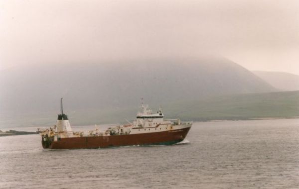 Orcades Viking