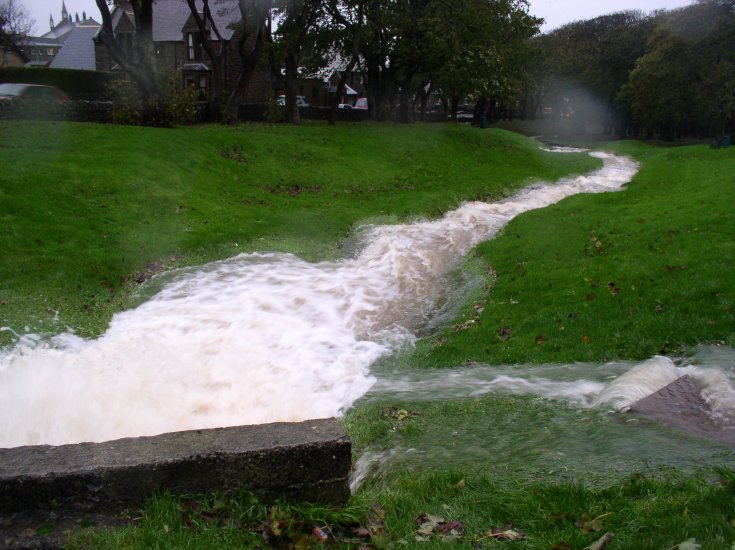 The Willow Burn