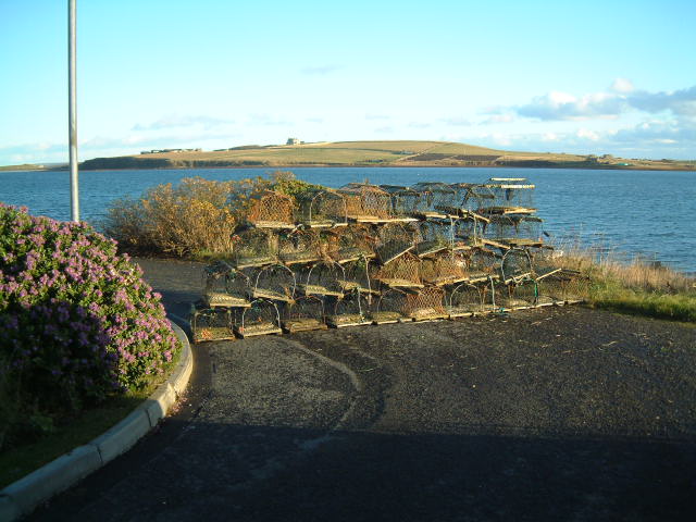 Waiting for a high tide ?