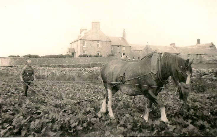 Robert Work of Holland Farm, Stronsay