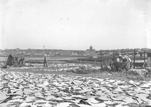 Drying fish at the Peedie Sea