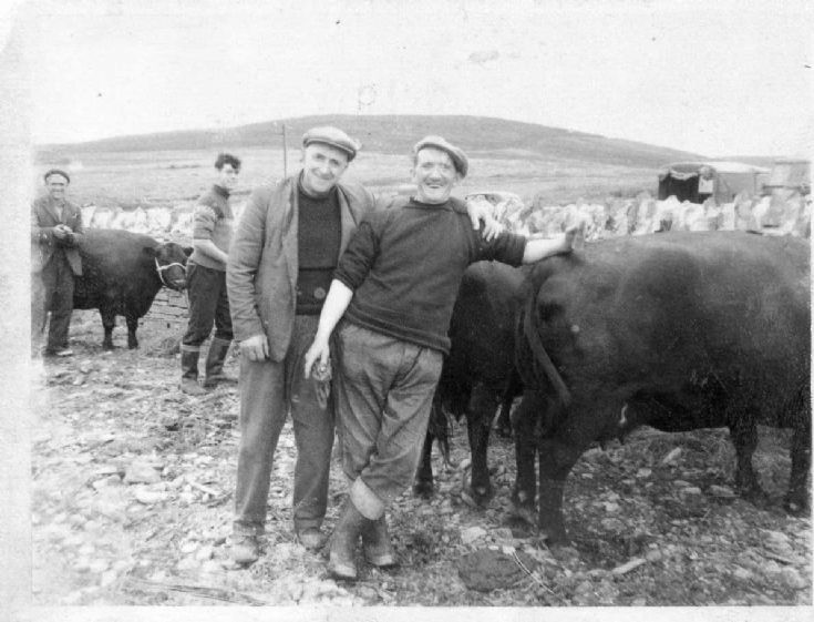 Rousay Show