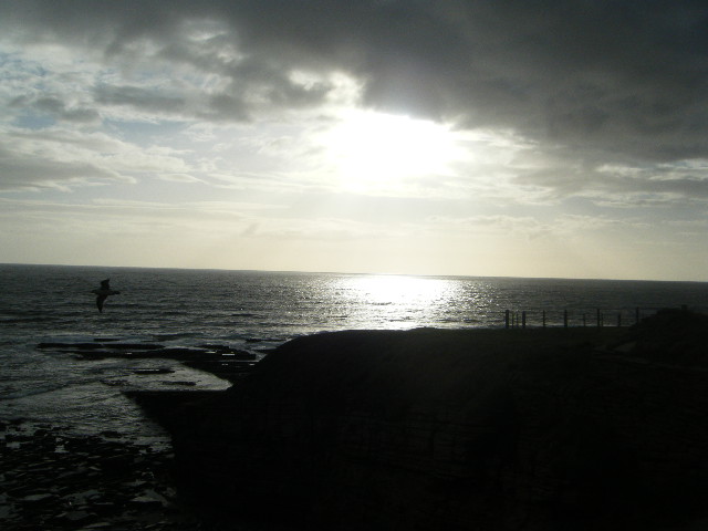 Marwick