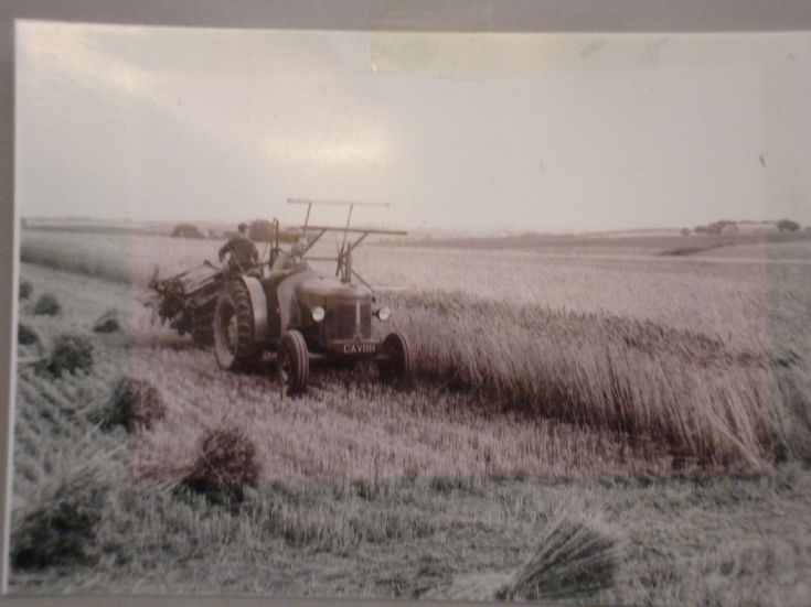 David Brown Cropmaster
