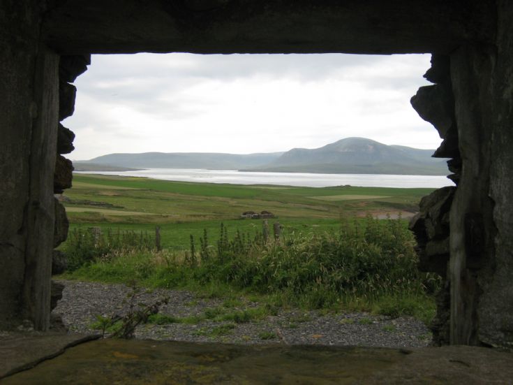 Hoy through the window