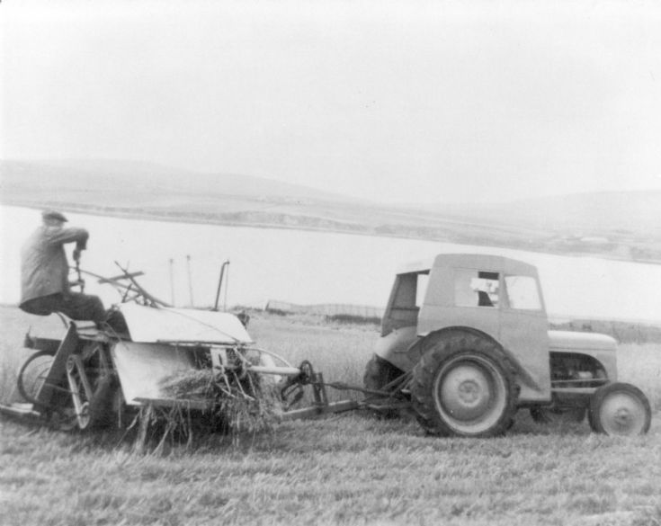 Harvesting.