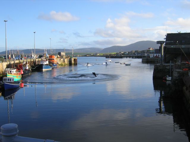 Wetbikes in Stromness Harbour