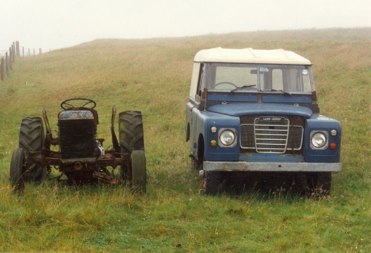 Retired work horses.