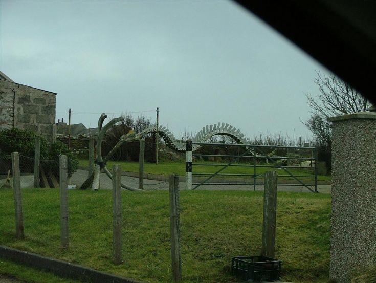 Whale bones